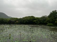 -兰亭风景区