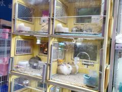 -宝鸡东道花鸟鱼虫市场(吉利花园商场店)