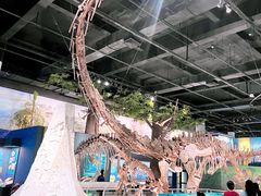 -国家自然博物馆