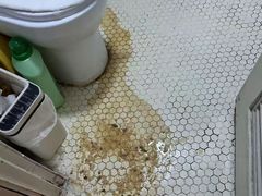 -必胜客(上地华联店)