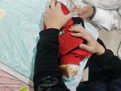 -子乐宠物医院