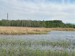 -野鸭湖国家湿地公园
