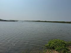 -鄱阳湖国家湿地公园