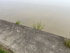 -观潮胜地公园