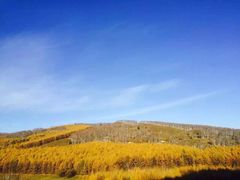 -塞罕坝国家级自然保护区