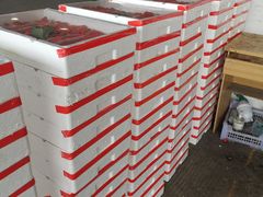 -南京众彩农副产品配送有限公司