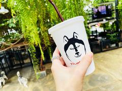 -TrueLove @ Neverland (Husky Cafe)