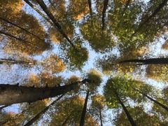 -山王坪喀斯特国家生态公园