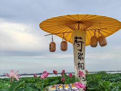 -七的湖·晚芳亭·阳澄湖农家菜·大闸蟹(莲花岛店)