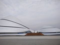 -哈尔滨大剧院