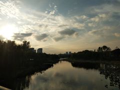 -新江湾城公园