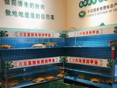 -西郊竹园甲鱼面(老一中店)