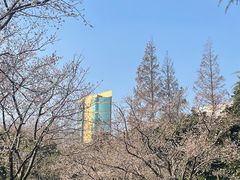 -静安公园(静安寺街道)