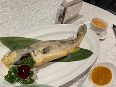 -红棉中餐厅·广州海航威斯汀酒店