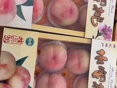 -南汇水蜜桃采摘(大团店)
