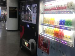 -东方体育中心(地铁站)