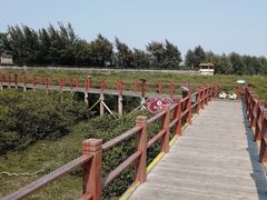 -北海金海湾红树林生态旅游区