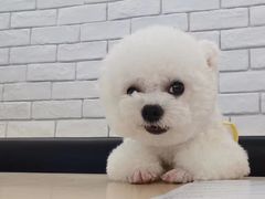 -LOOOAD COFFEE进度条(D9街区店)