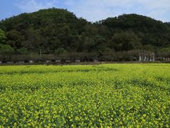 -红山村