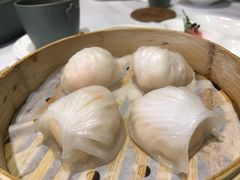 虾饺-春满园·早茶·粤菜·宴会(前海店)