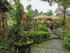 -青城甲(青城山店)