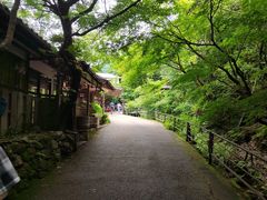 -三千院