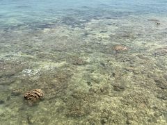 -三亚西岛海洋文化旅游区
