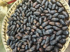 -昆虫窝子·特色云南菜(拓东路总店)