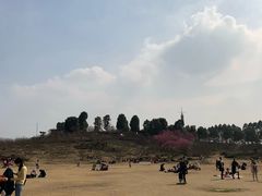 -秀丽东方