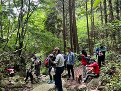 -素山寺森林公园