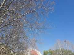 -朝阳公园游乐园