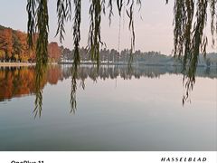 -东湖生态旅游风景区