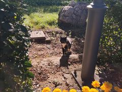 -长辛店二七公园