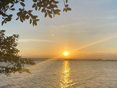 -宝安西湾红树林湿地公园