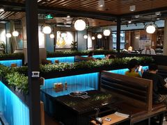 大堂-东椰·海南椰子鸡火锅(朝阳门店)