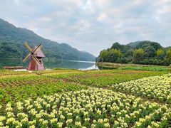 -广州市石门国家森林公园