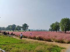 -汉长安城未央宫国家考古遗址公园