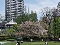 -复旦大学本部-食堂