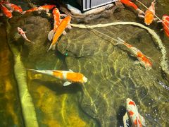 -太平洋海底世界