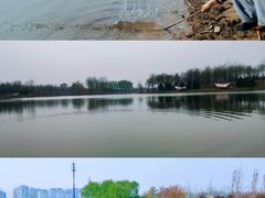-东郊湿地公园