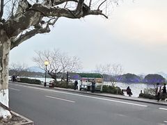 -楼外楼(西湖景区孤山路店)
