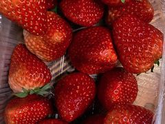 -胜丰草莓采摘园