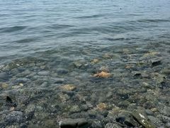 -银沙滩浴场