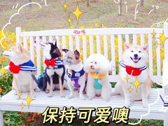 -花开海上生态园