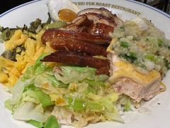 -肥小福·烧鹅专门店(环宇荟店)