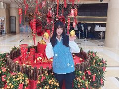 -喜来登由由大酒店九州膳坊中餐厅