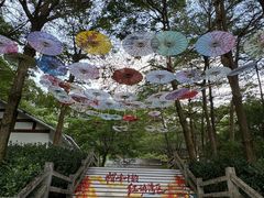-广州市帽峰山景区