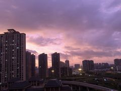 -振鼎鸡(福州路店)
