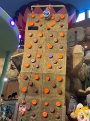 -卡通尼·Safari非洲探索乐园·生日会(金桥国际商业广场店)