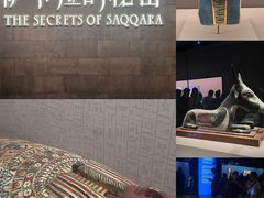 -上海博物馆(人民广场馆)